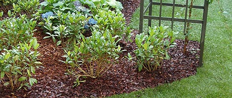 Verdeimpianti Realizzazione Giardini