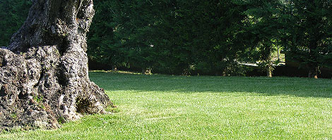 Verdeimpianti Realizzazione Giardini