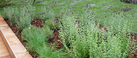 Verdeimpianti Realizzazione Giardini