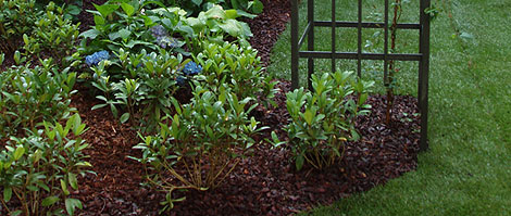 Verdeimpianti Realizzazione Giardini