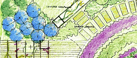 Verdeimpianti Realizzazione Giardini