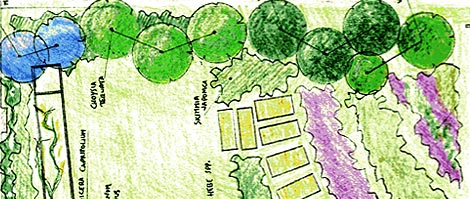 Verdeimpianti Realizzazione Giardini