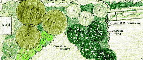 Verdeimpianti Realizzazione Giardini